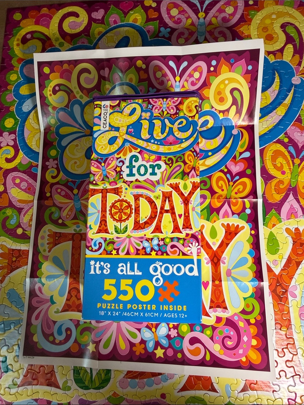 Live for Today Vibrant 550-Piece Puzzle Poster